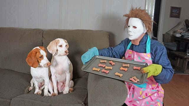S01:E10 - Dogs, Cooking, and Larger-Than-Life Pranks