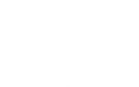 The Shadow Man