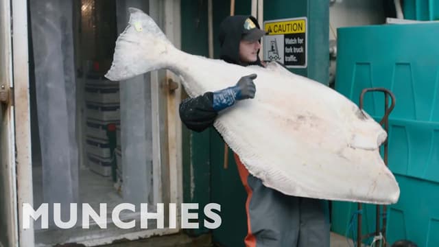 S01:E06 - Caviar Bumps, Oysters Shucking, and 100 Pound Halibut - MUNCHIES Guide to Victoria