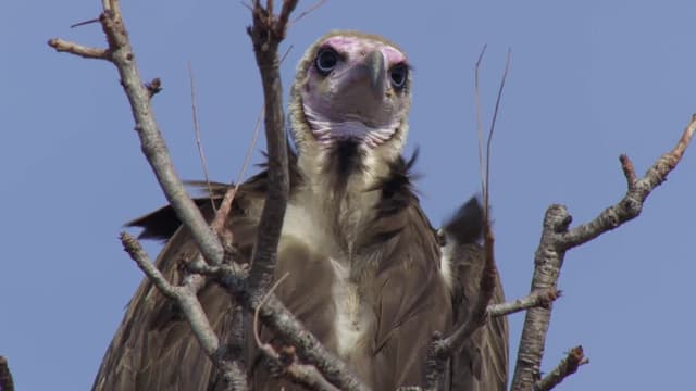 S01:E02 - Los grandes 5