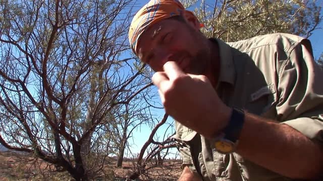 S04:E05 - Australian Outback