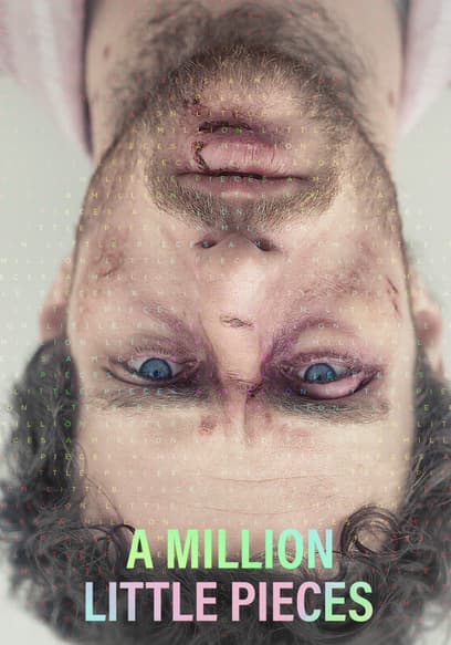 A Million Little Pieces