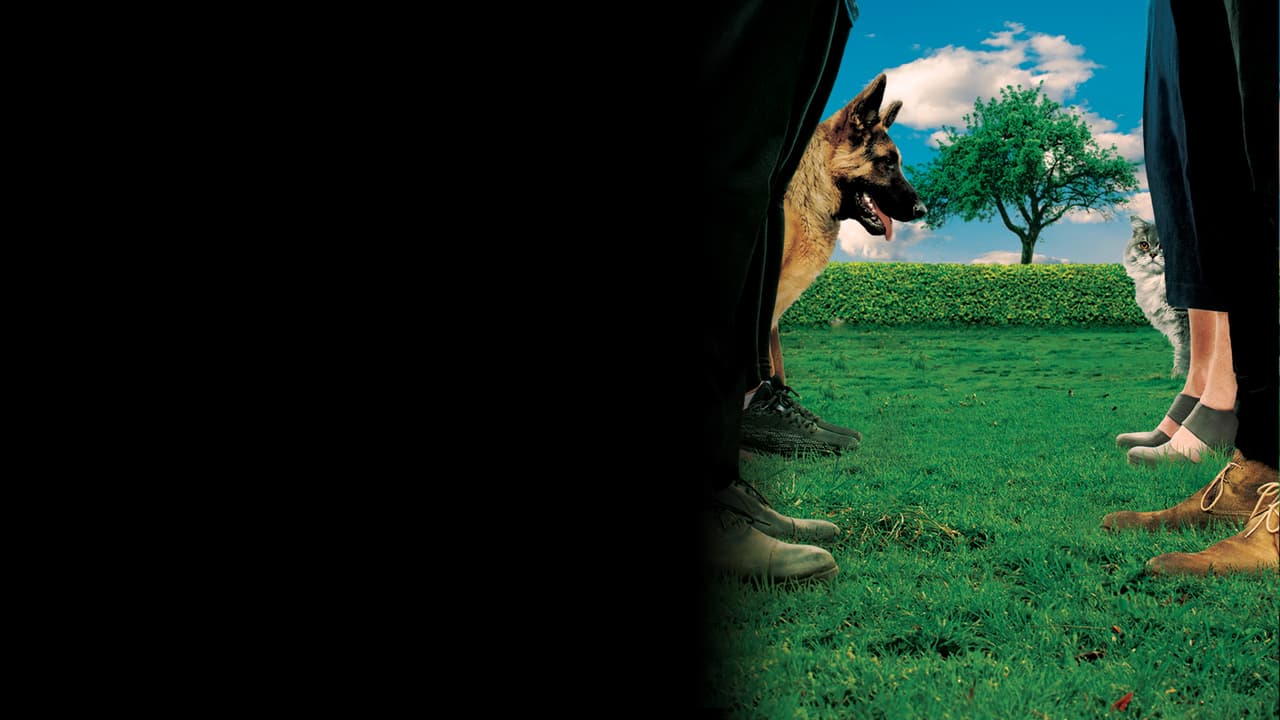 Watch Under the Tree