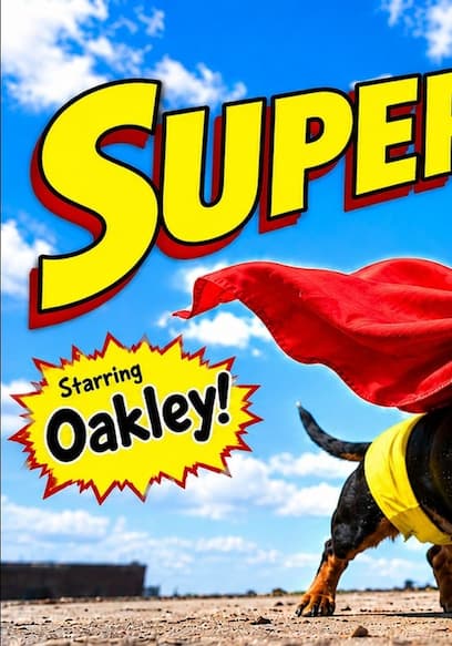 Affiche de S01:E11 - Superhero Dachshund and Crusoe Zen