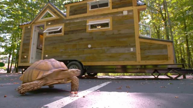 S04:E10 - Tiny Zoo House