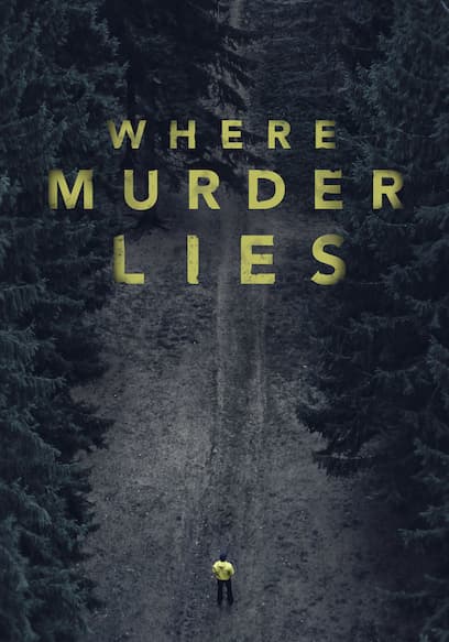 Where Murder Lies poster