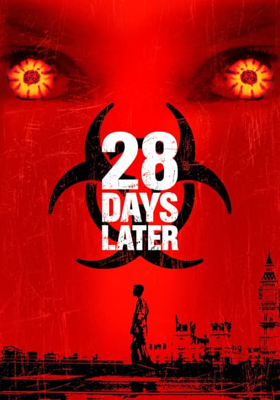 28 Days Later poster