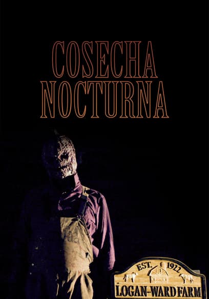 Cosecha Nocturna