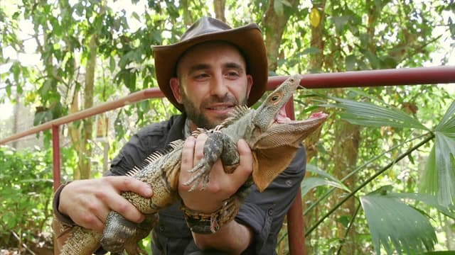 S01:E09 - Dino Reptiles