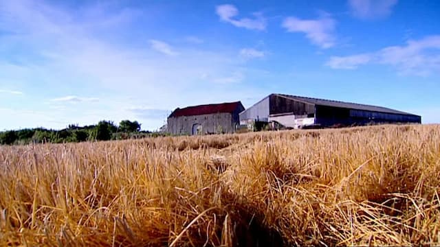 S05:E01 - Nottinghamshire - Michael and Lisa Farnsworth