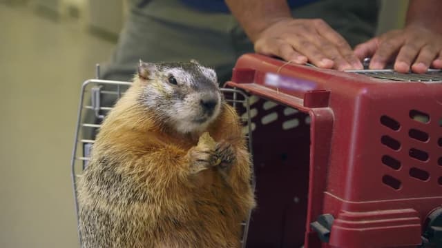 S03:E01 - The Marvelous Mott Mott