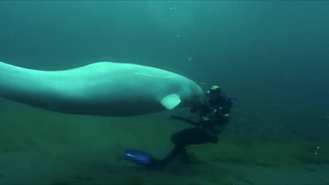 S01:E09 - The Making Of