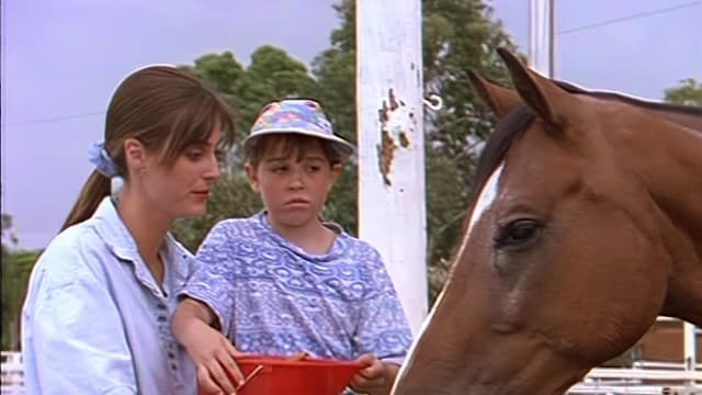 S01:E15 - Skippy and the Stuntman