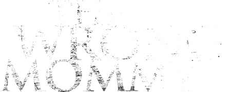 The Wrong Mommy