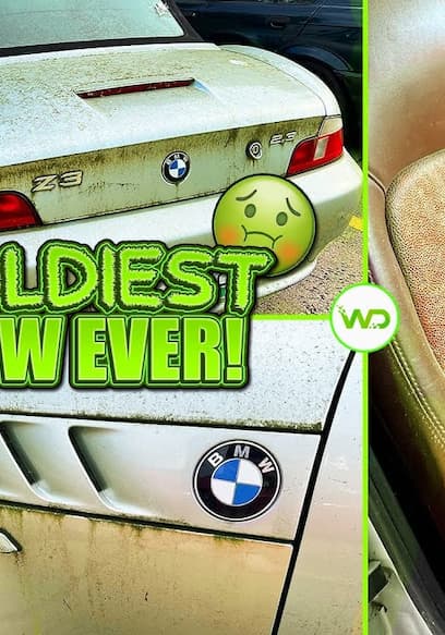 S01:E15 - Deep Cleaning the Moldiest BMW Ever poster