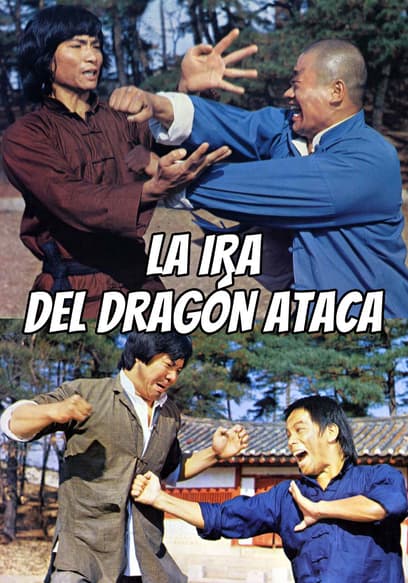 La Ira Del Dragón Ataca (Doblado)