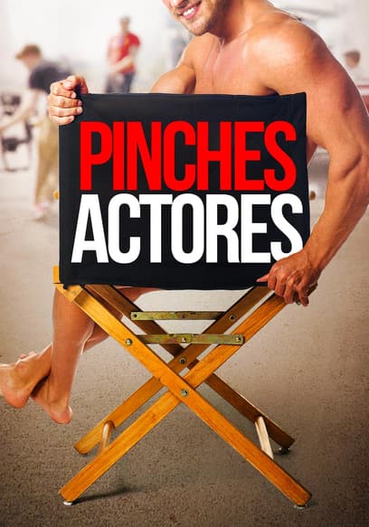 Pinches actores poster