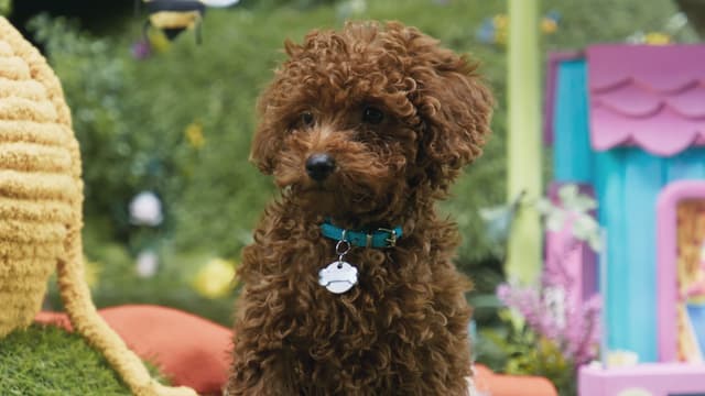 S01:E01 - Buried Boneanza / Puppy Help / Fire Kitten Mittens