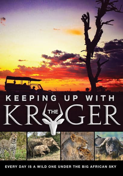 Keeping Up With the Kruger poster