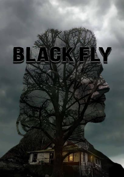 Black Fly