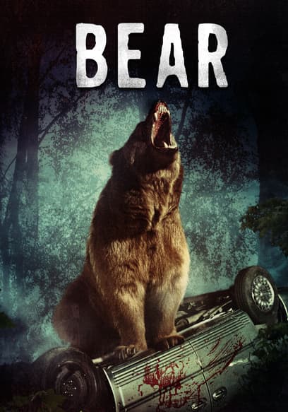 Bear poster