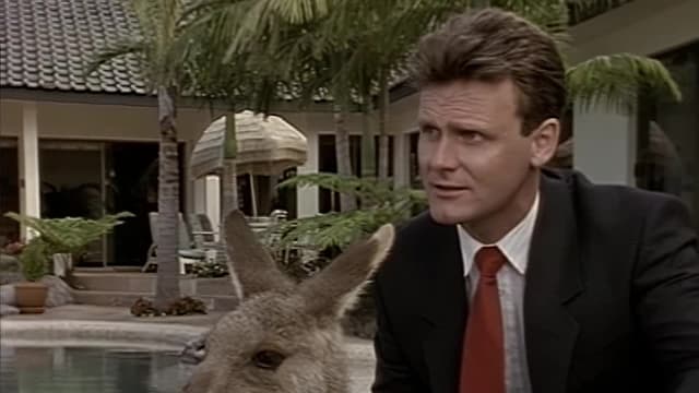 S01:E17 - Skippy and the Millionairess