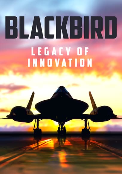 Blackbird: Legacy of Innovation poster