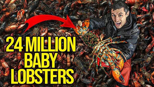 S01:E03 - I Accidentally Caught 12,000 Crabs (While Lobstering)