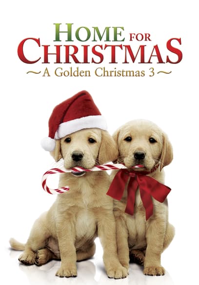 A Golden Christmas 3: Home For Christmas