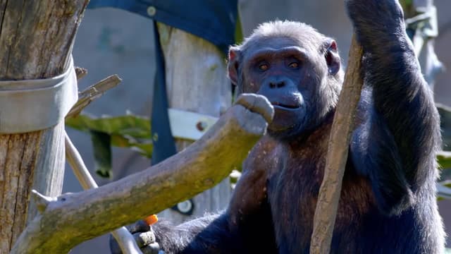 S01:E10 - Gourmet Enrichment