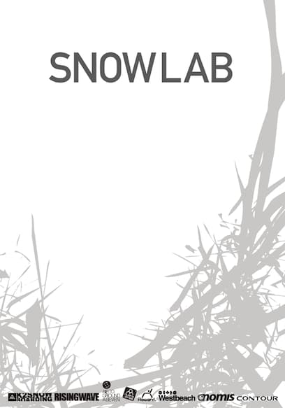 Snow Lab poster