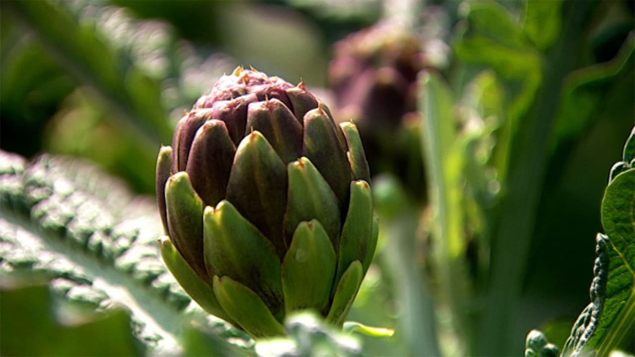 Watch River Cottage: Spring