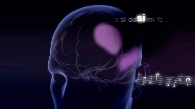 S01:E05 - Inside the Brain of a Virtuoso