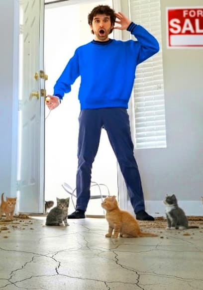 S01:E10 - Cats Takeover an Abandoned House poster