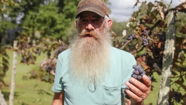 S01:E06 - Hillbilly Barbie Wine