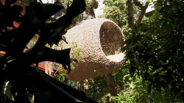 S02:E10 - Zigzag, Gryphon, Nest