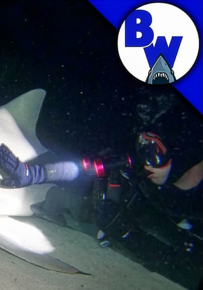 S01:E06 - Deep Sea: Sleepy Sharks & Giant Isopods poster