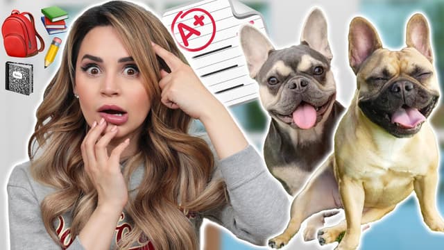 S01:E02 - DIY Doggy Birthday Treats!
