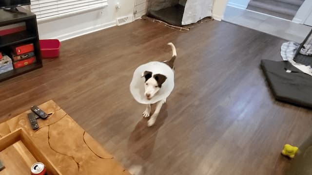 S01:E15 - We Need a Hero