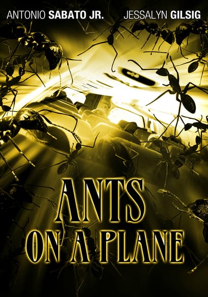 Ants On a Plane