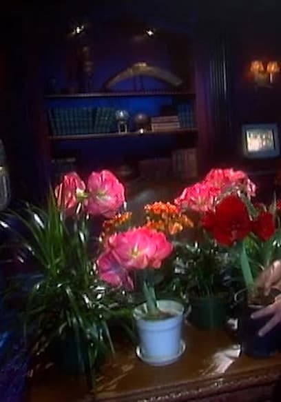 S04:E08 - Caitlin's Candle/The Flower Jury/The Mentor/The Old Bike/The Music Teacher poster