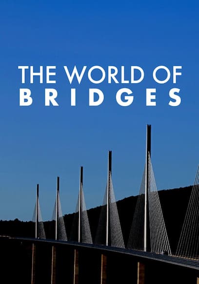 The World of Bridges