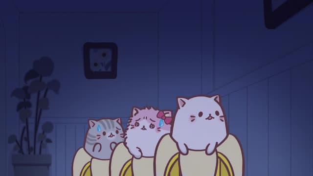 S01:E07 - Bananya in the Middle of the Night, Nya