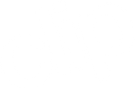 Clip