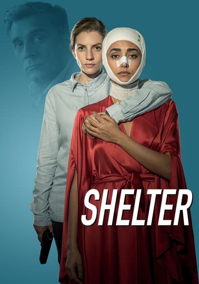 Shelter