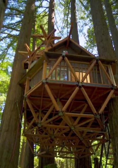 S06:E08 - Tiny Treehouse poster