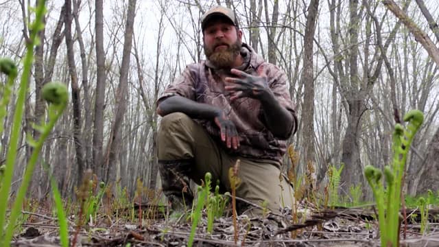 S01:E02 - Wild Turkey, Ramps & Fiddleheads