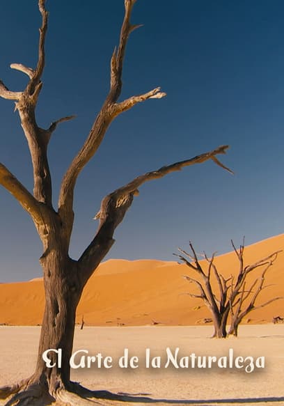 S01:E02 - Los secretos del bosque