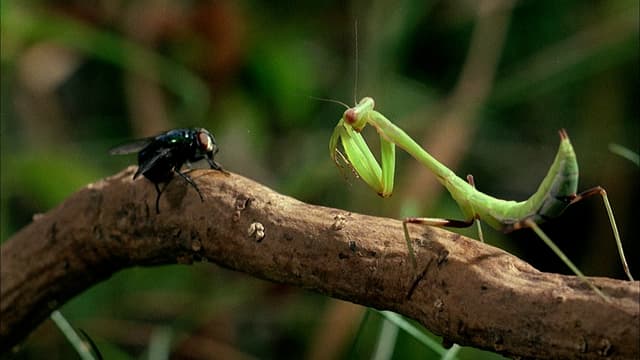 T01:C12 - S01:E12 - La carrera bajo los pies