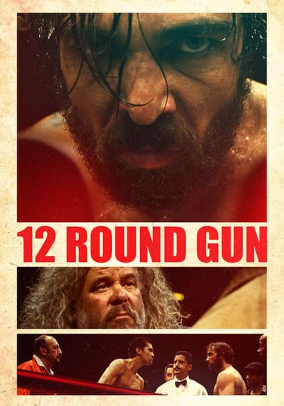 12 Round Gun